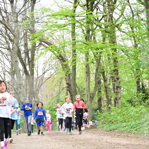 13.04.2025 - Hammer Lauf Dr. Thomas Lammeyer http://msf.ph/oto/7632956 13.04.2025 09:25:26 Laufen 565, 240, 964, 1321, 94, 805 meine-sportfotos.de