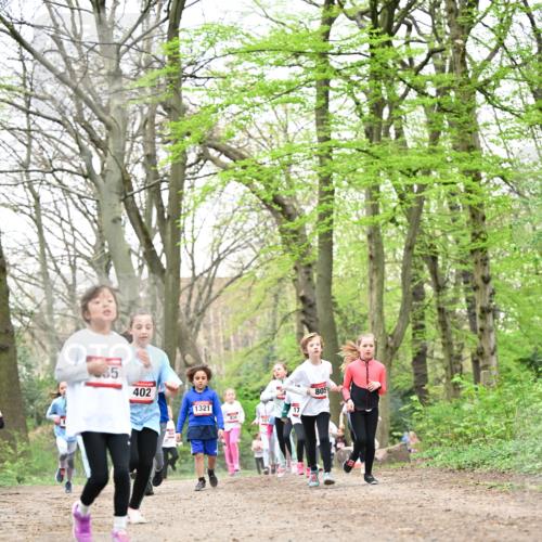 13.04.2025 - Hammer Lauf Dr. Thomas Lammeyer http://msf.ph/oto/7632963 13.04.2025 09:25:27 Laufen 65, 402, 1321, 101, 17, 805 meine-sportfotos.de