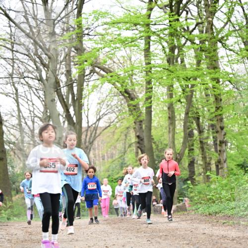13.04.2025 - Hammer Lauf Dr. Thomas Lammeyer http://msf.ph/oto/7632969 13.04.2025 09:25:27 Laufen 65, 402, 1321, 1015, 171, 805 meine-sportfotos.de