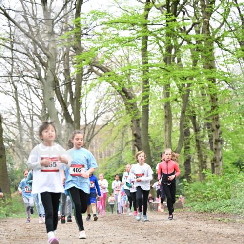 13.04.2025 - Hammer Lauf Dr. Thomas Lammeyer http://msf.ph/oto/7632976 13.04.2025 09:25:27 Laufen 65, 402, 21, 101 meine-sportfotos.de