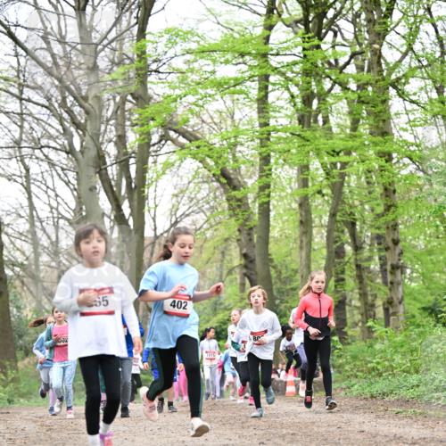 13.04.2025 - Hammer Lauf Dr. Thomas Lammeyer http://msf.ph/oto/7632983 13.04.2025 09:25:27 Laufen 60, 65, 402, 1015, 80 meine-sportfotos.de