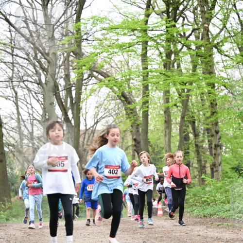13.04.2025 - Hammer Lauf Dr. Thomas Lammeyer http://msf.ph/oto/7632989 13.04.2025 09:25:27 Laufen 65, 132, 402, 805, 84 meine-sportfotos.de