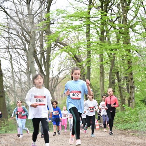 13.04.2025 - Hammer Lauf Dr. Thomas Lammeyer http://msf.ph/oto/7632998 13.04.2025 09:25:27 Laufen 802, 865, 1321, 836, 1015, 402, 805, 84 meine-sportfotos.de