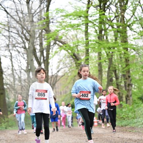 13.04.2025 - Hammer Lauf Dr. Thomas Lammeyer http://msf.ph/oto/7633004 13.04.2025 09:25:27 Laufen 15, 865, 402, 841 meine-sportfotos.de