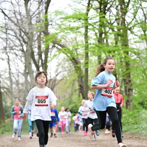 13.04.2025 - Hammer Lauf Dr. Thomas Lammeyer http://msf.ph/oto/7633010 13.04.2025 09:25:28 Laufen 15, 865, 4713, 402 meine-sportfotos.de