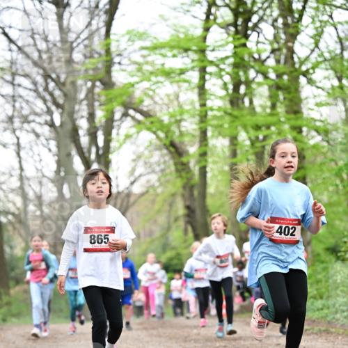 13.04.2025 - Hammer Lauf Dr. Thomas Lammeyer http://msf.ph/oto/7633018 13.04.2025 09:25:28 Laufen 15, 865, 15, 402 meine-sportfotos.de