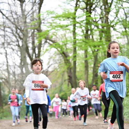 13.04.2025 - Hammer Lauf Dr. Thomas Lammeyer http://msf.ph/oto/7633025 13.04.2025 09:25:28 Laufen 15, 865, 15, 402 meine-sportfotos.de