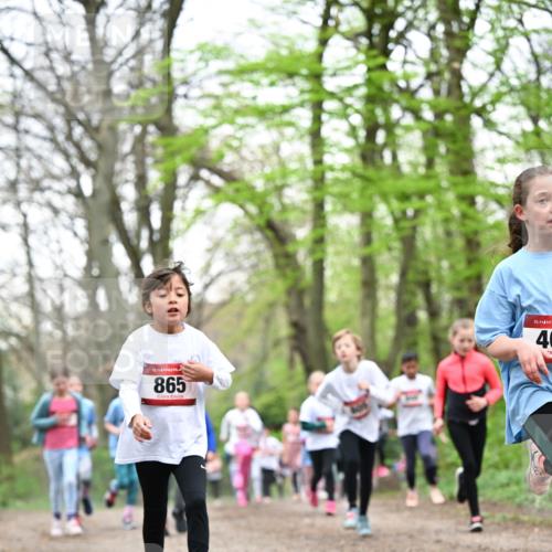 13.04.2025 - Hammer Lauf Dr. Thomas Lammeyer http://msf.ph/oto/7633033 13.04.2025 09:25:28 Laufen 15, 865, 15, 40 meine-sportfotos.de