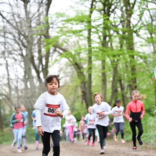 13.04.2025 - Hammer Lauf Dr. Thomas Lammeyer http://msf.ph/oto/7633040 13.04.2025 09:25:28 Laufen 15, 86 meine-sportfotos.de