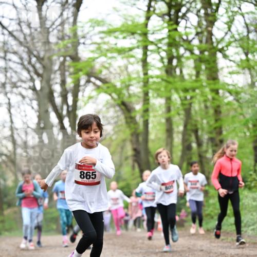 13.04.2025 - Hammer Lauf Dr. Thomas Lammeyer http://msf.ph/oto/7633046 13.04.2025 09:25:28 Laufen 15, 865, 805 meine-sportfotos.de