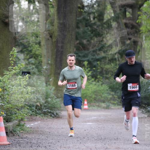 13.04.2025 - Hammer Lauf Jannik Wohlers http://msf.ph/oto/7633059 13.04.2025 10:24:13 Laufen 1168, 1966 meine-sportfotos.de