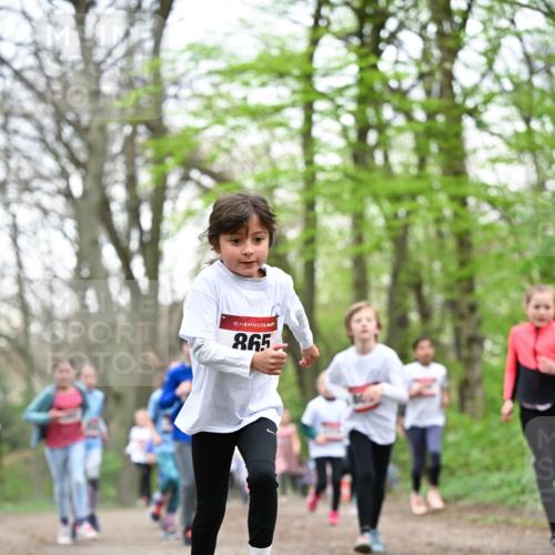 13.04.2025 - Hammer Lauf Dr. Thomas Lammeyer http://msf.ph/oto/7633065 13.04.2025 09:25:29 Laufen 15, 865 meine-sportfotos.de