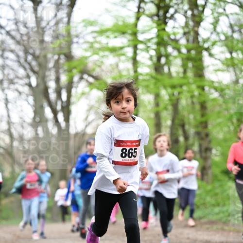 13.04.2025 - Hammer Lauf Dr. Thomas Lammeyer http://msf.ph/oto/7633073 13.04.2025 09:25:29 Laufen 15, 865 meine-sportfotos.de