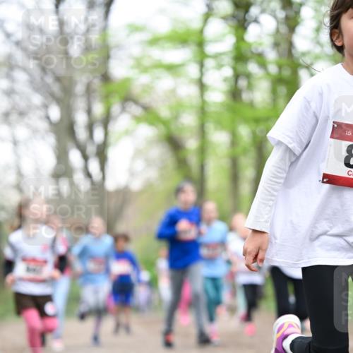 13.04.2025 - Hammer Lauf Dr. Thomas Lammeyer http://msf.ph/oto/7633104 13.04.2025 09:25:30 Laufen 15, 8 meine-sportfotos.de