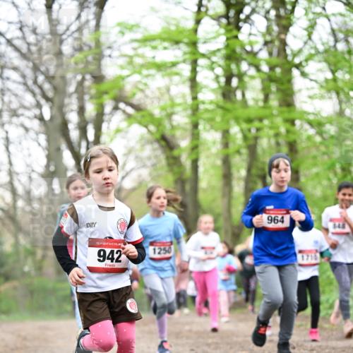 13.04.2025 - Hammer Lauf Dr. Thomas Lammeyer http://msf.ph/oto/7633142 13.04.2025 09:25:31 Laufen 15, 942, 1250, 964, 145 meine-sportfotos.de
