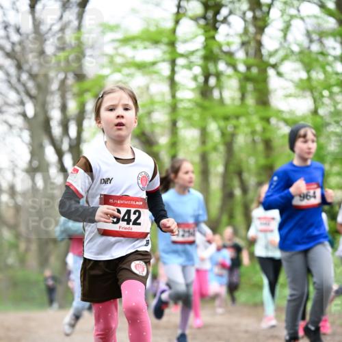 13.04.2025 - Hammer Lauf Dr. Thomas Lammeyer http://msf.ph/oto/7633159 13.04.2025 09:25:31 Laufen 15, 42, 964 meine-sportfotos.de