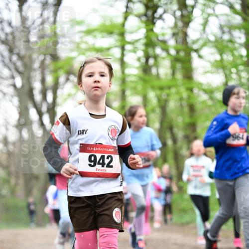 13.04.2025 - Hammer Lauf Dr. Thomas Lammeyer http://msf.ph/oto/7633164 13.04.2025 09:25:31 Laufen 1910, 1964, 15, 942 meine-sportfotos.de