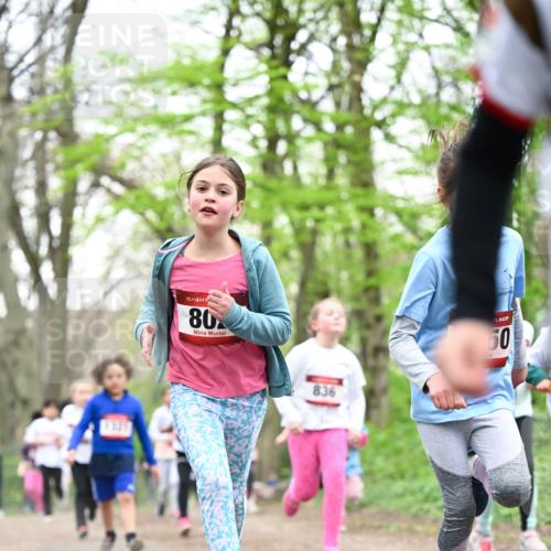 13.04.2025 - Hammer Lauf Dr. Thomas Lammeyer http://msf.ph/oto/7633191 13.04.2025 09:25:32 Laufen 15, 80, 836, 50 meine-sportfotos.de