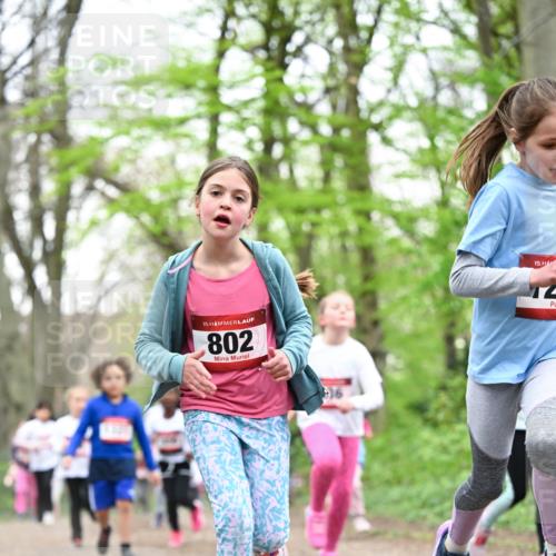 13.04.2025 - Hammer Lauf Dr. Thomas Lammeyer http://msf.ph/oto/7633200 13.04.2025 09:25:32 Laufen 15, 802, 15 meine-sportfotos.de