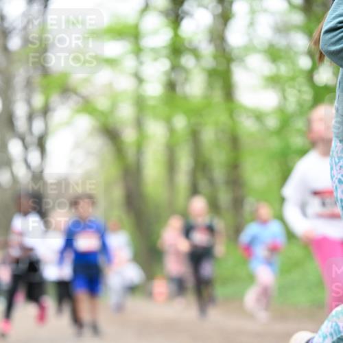 13.04.2025 - Hammer Lauf Dr. Thomas Lammeyer http://msf.ph/oto/7633234 13.04.2025 09:25:33 Laufen  meine-sportfotos.de