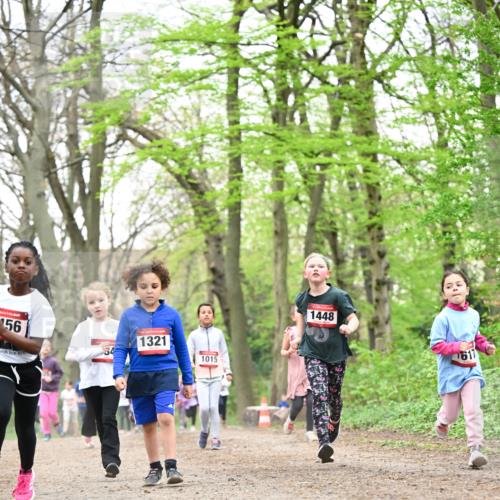 13.04.2025 - Hammer Lauf Dr. Thomas Lammeyer http://msf.ph/oto/7633241 13.04.2025 09:25:33 Laufen 56, 1321, 1015, 1448, 617 meine-sportfotos.de