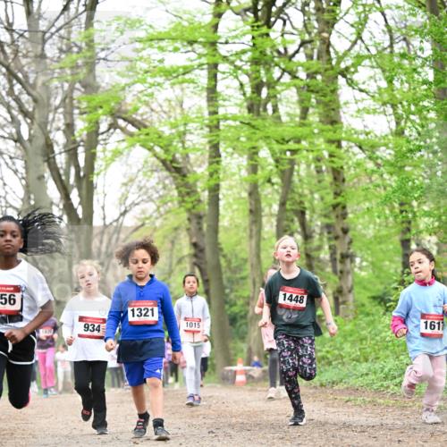 13.04.2025 - Hammer Lauf Dr. Thomas Lammeyer http://msf.ph/oto/7633249 13.04.2025 09:25:34 Laufen 56, 934, 1321, 1015, 1448, 1617 meine-sportfotos.de