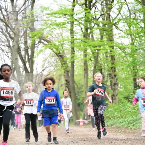 13.04.2025 - Hammer Lauf Dr. Thomas Lammeyer http://msf.ph/oto/7633255 13.04.2025 09:25:34 Laufen 1456, 934, 1321, 1015, 1448, 16 meine-sportfotos.de
