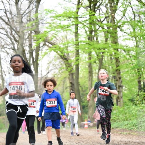 13.04.2025 - Hammer Lauf Dr. Thomas Lammeyer http://msf.ph/oto/7633264 13.04.2025 09:25:34 Laufen 1456, 34, 1321, 1015, 1446 meine-sportfotos.de