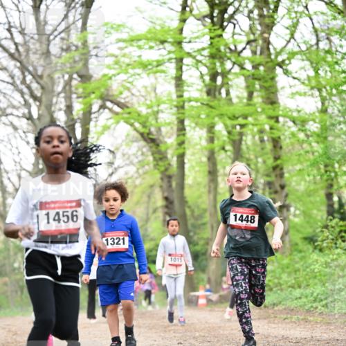 13.04.2025 - Hammer Lauf Dr. Thomas Lammeyer http://msf.ph/oto/7633271 13.04.2025 09:25:34 Laufen 1456, 1321, 16, 1015, 1448 meine-sportfotos.de