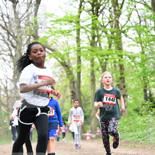 13.04.2025 - Hammer Lauf Dr. Thomas Lammeyer http://msf.ph/oto/7633280 13.04.2025 09:25:34 Laufen 21, 1015, 15, 1448 meine-sportfotos.de