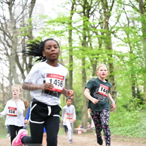 13.04.2025 - Hammer Lauf Dr. Thomas Lammeyer http://msf.ph/oto/7633287 13.04.2025 09:25:34 Laufen 456, 1448, 934, 1011 meine-sportfotos.de