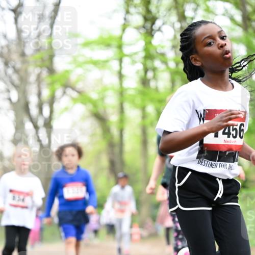 13.04.2025 - Hammer Lauf Dr. Thomas Lammeyer http://msf.ph/oto/7633295 13.04.2025 09:25:35 Laufen 456 meine-sportfotos.de