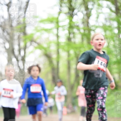 13.04.2025 - Hammer Lauf Dr. Thomas Lammeyer http://msf.ph/oto/7633307 13.04.2025 09:25:35 Laufen 144 meine-sportfotos.de