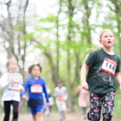 13.04.2025 - Hammer Lauf Dr. Thomas Lammeyer http://msf.ph/oto/7633315 13.04.2025 09:25:35 Laufen 26, 144 meine-sportfotos.de