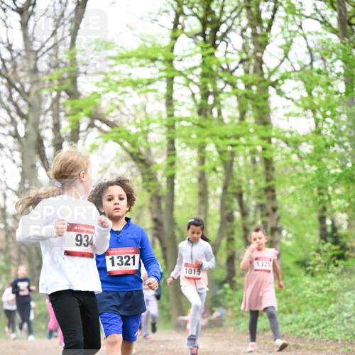 13.04.2025 - Hammer Lauf Dr. Thomas Lammeyer http://msf.ph/oto/7633330 13.04.2025 09:25:36 Laufen 15, 934, 15, 1321, 1015, 1320 meine-sportfotos.de