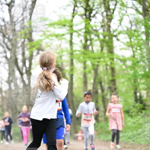 13.04.2025 - Hammer Lauf Dr. Thomas Lammeyer http://msf.ph/oto/7633341 13.04.2025 09:25:36 Laufen  meine-sportfotos.de
