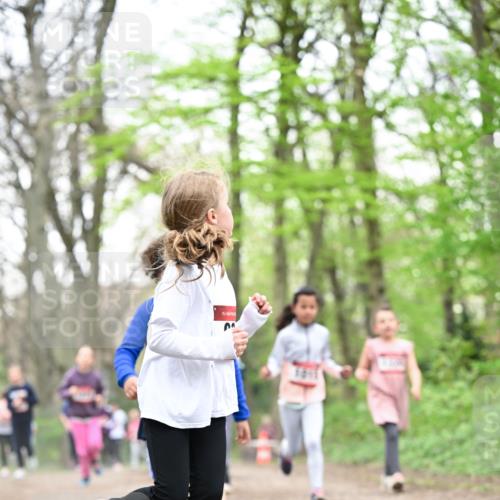 13.04.2025 - Hammer Lauf Dr. Thomas Lammeyer http://msf.ph/oto/7633349 13.04.2025 09:25:36 Laufen 15 meine-sportfotos.de