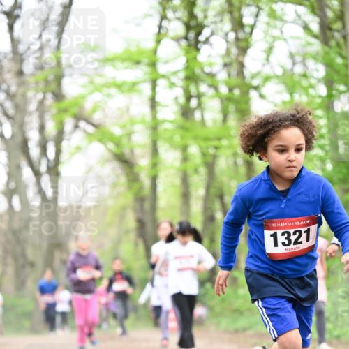 13.04.2025 - Hammer Lauf Dr. Thomas Lammeyer http://msf.ph/oto/7633395 13.04.2025 09:25:37 Laufen 720, 15, 1321 meine-sportfotos.de