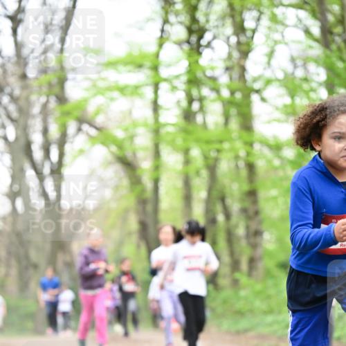 13.04.2025 - Hammer Lauf Dr. Thomas Lammeyer http://msf.ph/oto/7633405 13.04.2025 09:25:37 Laufen 15 meine-sportfotos.de