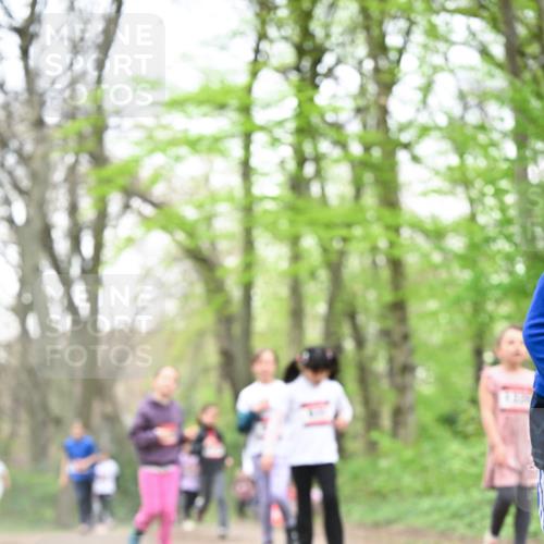 13.04.2025 - Hammer Lauf Dr. Thomas Lammeyer http://msf.ph/oto/7633410 13.04.2025 09:25:38 Laufen  meine-sportfotos.de