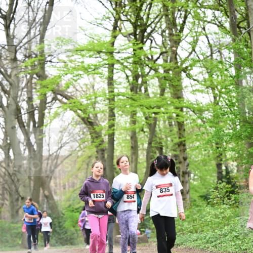 13.04.2025 - Hammer Lauf Dr. Thomas Lammeyer http://msf.ph/oto/7633432 13.04.2025 09:25:38 Laufen 1825, 854, 835 meine-sportfotos.de
