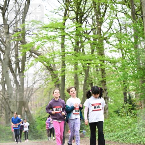 13.04.2025 - Hammer Lauf Dr. Thomas Lammeyer http://msf.ph/oto/7633438 13.04.2025 09:25:38 Laufen 1825, 854, 835 meine-sportfotos.de