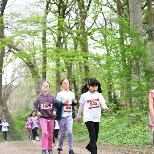 13.04.2025 - Hammer Lauf Dr. Thomas Lammeyer http://msf.ph/oto/7633447 13.04.2025 09:25:39 Laufen 1825, 854, 835 meine-sportfotos.de
