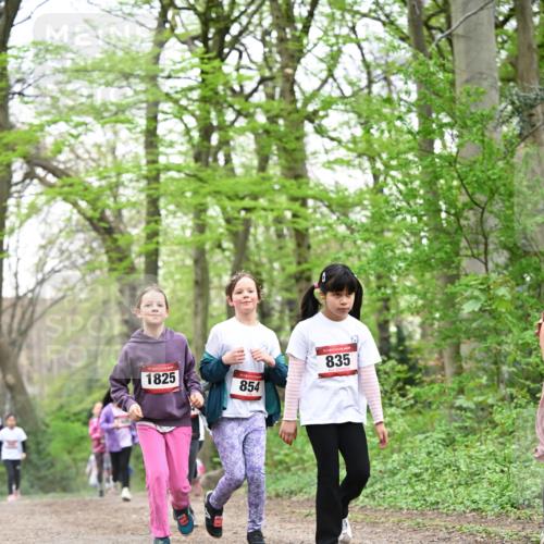 13.04.2025 - Hammer Lauf Dr. Thomas Lammeyer http://msf.ph/oto/7633455 13.04.2025 09:25:39 Laufen 1825, 854, 835 meine-sportfotos.de