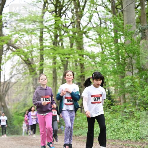 13.04.2025 - Hammer Lauf Dr. Thomas Lammeyer http://msf.ph/oto/7633463 13.04.2025 09:25:39 Laufen 1825, 854, 835, 724 meine-sportfotos.de