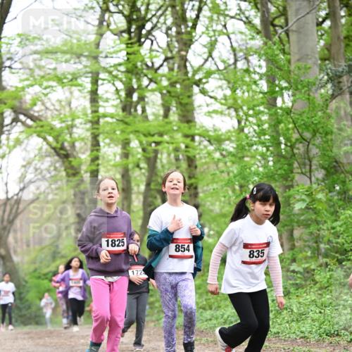 13.04.2025 - Hammer Lauf Dr. Thomas Lammeyer http://msf.ph/oto/7633474 13.04.2025 09:25:39 Laufen 15, 1825, 15, 854, 15, 835, 172 meine-sportfotos.de