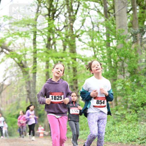 13.04.2025 - Hammer Lauf Dr. Thomas Lammeyer http://msf.ph/oto/7633519 13.04.2025 09:25:40 Laufen 15, 1825, 1724, 15, 854 meine-sportfotos.de