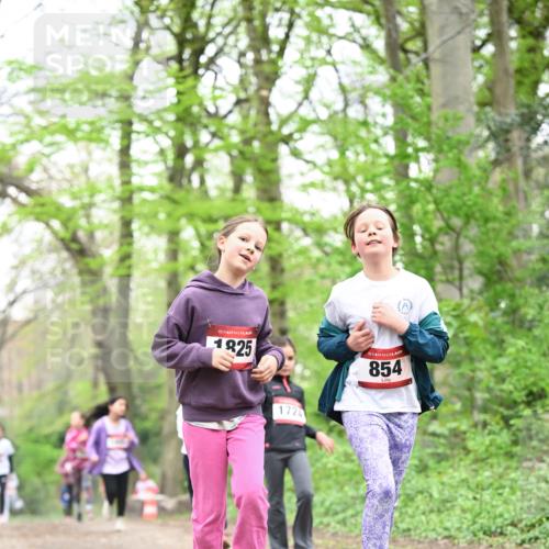 13.04.2025 - Hammer Lauf Dr. Thomas Lammeyer http://msf.ph/oto/7633526 13.04.2025 09:25:41 Laufen 15, 1825, 1724, 854 meine-sportfotos.de