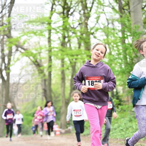 13.04.2025 - Hammer Lauf Dr. Thomas Lammeyer http://msf.ph/oto/7633546 13.04.2025 09:25:41 Laufen 15, 1825 meine-sportfotos.de