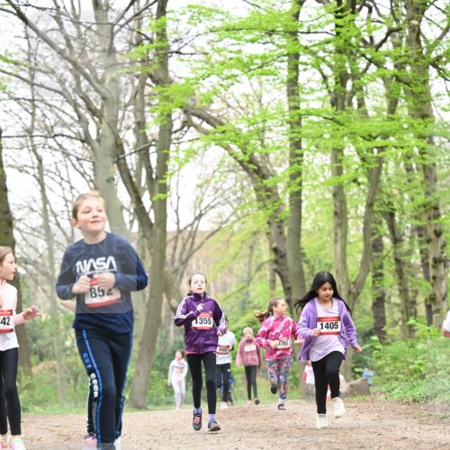 13.04.2025 - Hammer Lauf Dr. Thomas Lammeyer http://msf.ph/oto/7633569 13.04.2025 09:25:42 Laufen 342, 852, 355, 680, 1405 meine-sportfotos.de